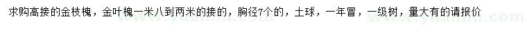 求购1.8-2米高接金枝槐、金叶槐