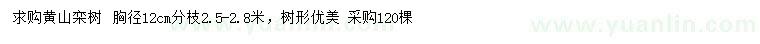 求购胸径12公分黄山栾树