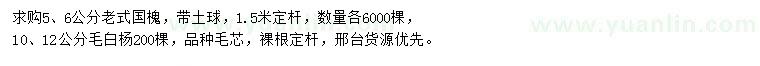 求购5、6公分老式国槐、10、12公分毛白杨