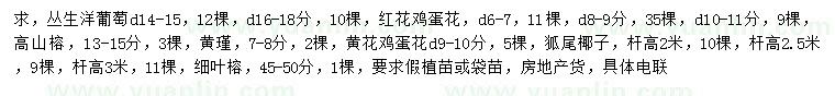 求购丛生洋葡萄、红花鸡蛋花、高山榕等