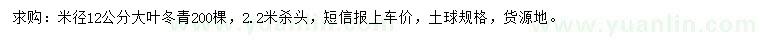 求购米径12公分大叶冬青