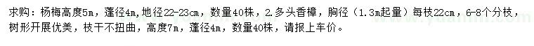 求购地径22-23公分杨梅、胸径1.3米量香樟