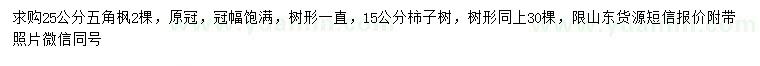 求购25公分五角枫、15公分柿子树
