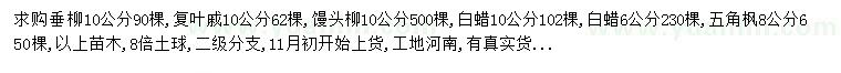 求购垂柳、复叶戚、馒头柳等