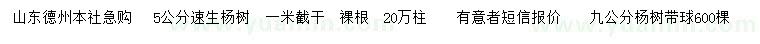 求购5公分速生杨树、9公分杨树