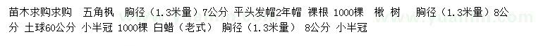 求购五角枫、楸树、白蜡