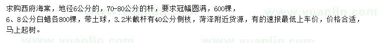 求购地径6公分西府海棠、6、8公分白蜡