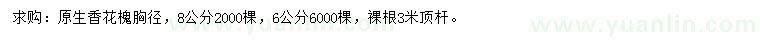 求购胸径6、8公分原生香花槐