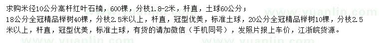 求购米径10公分高杆红叶石楠、18、20公分榉树