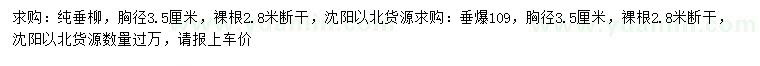 求购胸径3.5公分纯垂柳、垂爆109