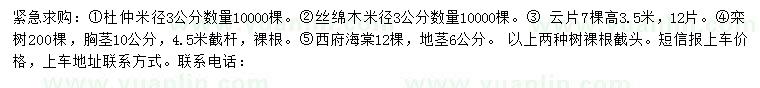 求购杜仲、丝棉木、云片等