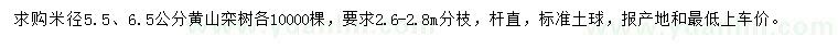 求购米径5.5、6.5公分黄山栾树