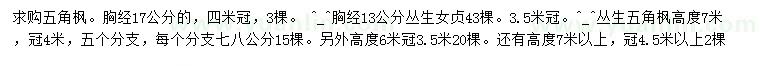 求购五角枫、丛生女贞、丛生五角枫