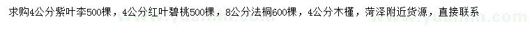 求购紫叶李、红叶碧桃、法桐等