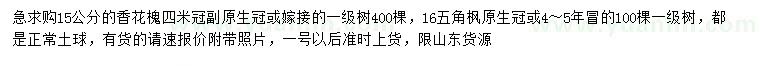 求购15公分香花槐、16公分五角枫
