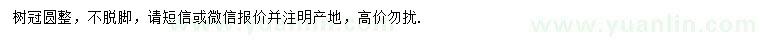 求购冠幅220-250公分丛生金桂