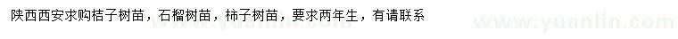 求购桔子树苗、石榴树苗、柿子树苗