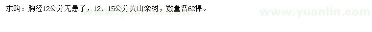 求购胸径12公分无患子、12、15公分黄山栾树