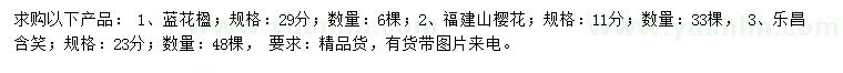 求购蓝花楹、福建山樱花、乐昌含笑