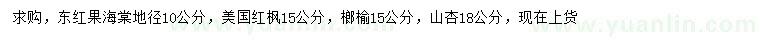 求购东红果海棠、美国红枫、榔榆等