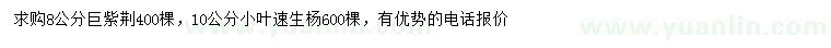 求购8公分巨紫荆、10公分小叶速生杨