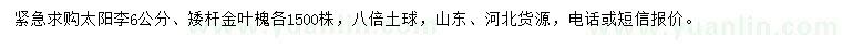 求购6公分太阳李、矮杆金叶槐