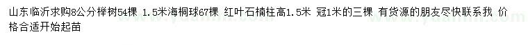 求购榉树、海桐球、红叶石楠柱