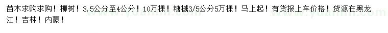 求购3.5-4公分柳树、3、5公分糖槭