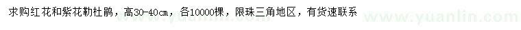 求购高30-40公分红花、紫花勒杜鹃