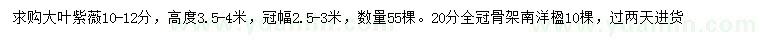 求购10-12公分大叶紫薇、22公分南洋楹