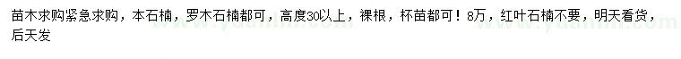 求购高30公分以上本石楠、罗木石楠