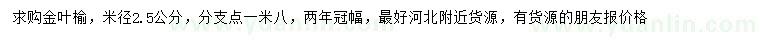 求购米径2.5公分金叶榆