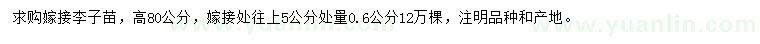 求购嫁接处往上5公分处量0.6公分李子苗