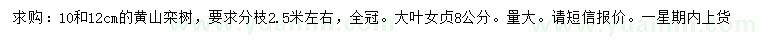 求购10、12公分黄山栾树、8公分大叶女贞