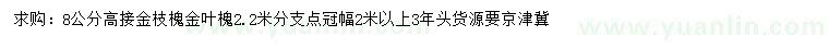 求购8公分高接金枝槐、金叶槐