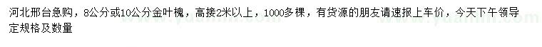 求购8、10公分金叶槐