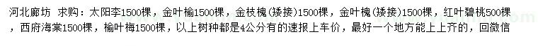 求购太阳李、金叶榆、金枝槐等