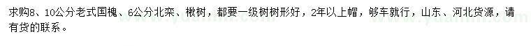 求购老式国槐、北栾、楸树