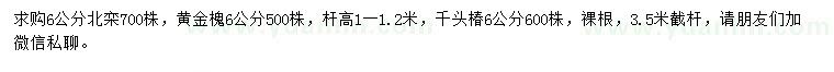 求购北栾、黄金槐、千头椿