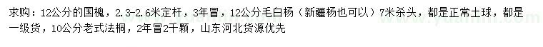 求购国槐、毛白杨、老式法桐