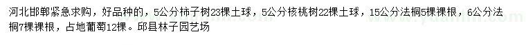 求购柿子树、核桃树、法桐等