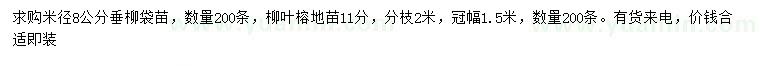 求购8公分垂柳袋苗、11公分柳叶榕