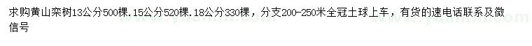 求购13公分黄山栾树 