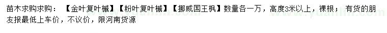 求购金叶复叶槭、粉叶复叶槭、挪威国王枫