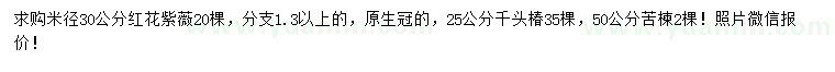 求购红花紫薇、千头椿、苦楝