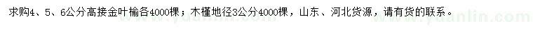 求购4、5、6公分金叶榆、地径3公分木槿