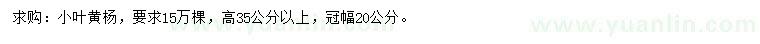 求购高35公分以上小叶黄杨