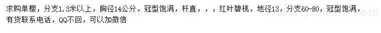 求购胸径14公分单樱、地径13公分红叶碧桃