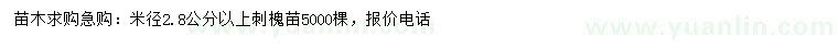 求购米径2.8公分以上刺槐苗