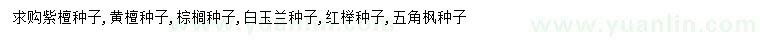 求购紫檀种子、黄檀种子、棕榈种子等